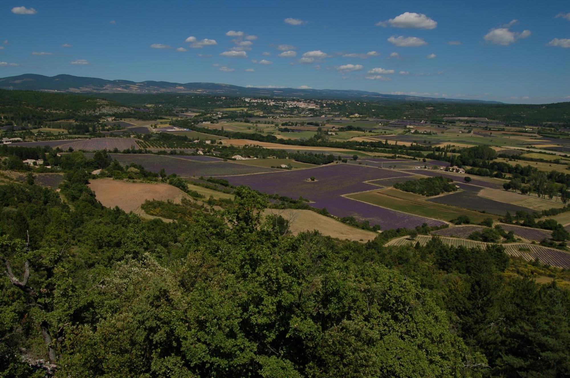 Aramon Le Gite De Lolivier En Provence מראה חיצוני תמונה